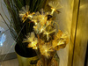 DECORLIGHT™ Lampa LED FLOWERS LIGHT STORCZYKI SREBRNE LEDY EVA